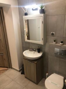 W łazience znajduje się umywalka, toaleta i lustro. w obiekcie Apartment Katowice Center w mieście Katowice