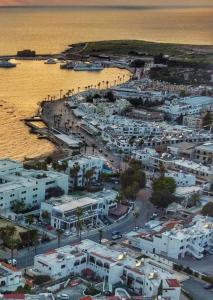 帕福斯Savveli by the sea的相册照片 更多17张照片