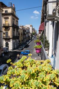 Gallery image of Sicilianamente Stay in Catania