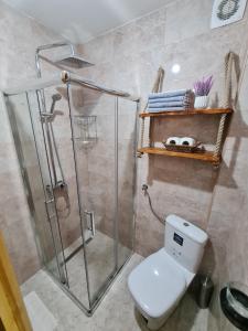 een badkamer met een douche en een wit toilet bij tornik studio zlatibor in Zlatibor