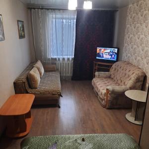 a living room with a couch and a tv at Apartment on Plekhanovskaya street 22 in Voronezh