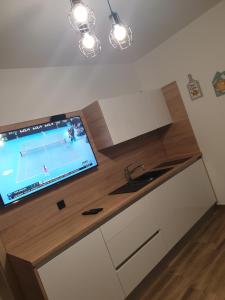 a kitchen with a tennis court on a tv on a counter at Apartman Ero in Čepin