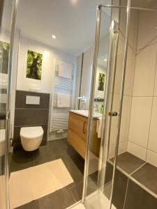 a bathroom with a shower and a toilet and a sink at Ferienwohnungen Zum Lindenwirt in Weißehütte +24 photos