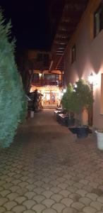 an empty courtyard with potted trees in a building at night at Pensiunea Casa Zarnesteana in Zărneşti