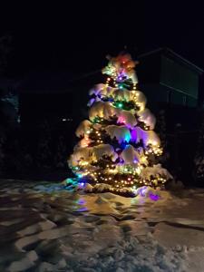 Ein Weihnachtsbaum leuchtet im Schnee in der Unterkunft Hof in Jassinja