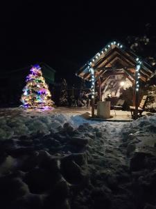 Clădirea în care este situat/ăhanul