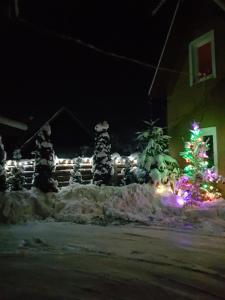 ein Weihnachtsbaum in einem schneebedeckten Hof in der Unterkunft Hof in Jassinja