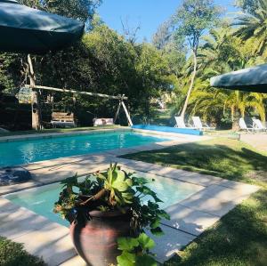 a swimming pool with a potted plant next to it at Chacra La Escondida in Colonia del Sacramento