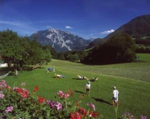 two people standing in a field with cows in the grass at Maiergschwendter-Hof in Ruhpolding
