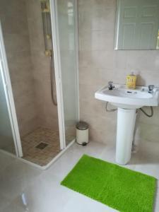 a bathroom with a sink and a shower with a green rug at Greystone House in Achill