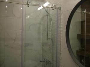 a bathroom with a shower and a mirror at Rose Lux in Belgrade