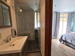 een badkamer met een wastafel, een douche en een bed bij Acogedor loft privado in Mexico-Stad