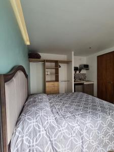 1 dormitorio con 1 cama grande en una habitación en Acogedor loft privado, en Ciudad de México