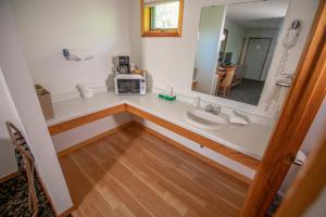 a bathroom with a sink and a microwave on a counter at Coachlite Inn in Sister Bay