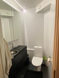 a small bathroom with a toilet and a sink at Guesthouse Kärsämäki in Kärsämäki