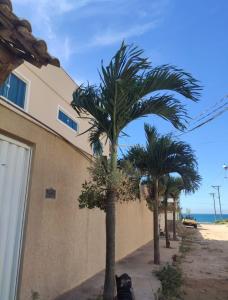 two palm trees on a sidewalk next to a building at Casa Duplex Arraial do Cabo 30 metros do Mar in Arraial do Cabo