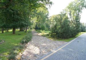a cobblestone road in a park with trees at Pałac Victoria in Mgowo