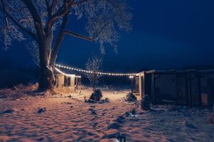 pokryty śniegiem dziedziniec z drzewkiem i światłami świątecznymi w obiekcie Magic Places 57-340 w mieście Duszniki Zdrój