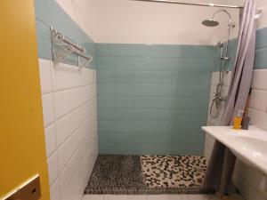a bathroom with a shower and a sink at Coquet deux pièces meublée, proche mer in Sainte-Anne