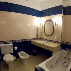 a bathroom with a toilet and a sink and a mirror at Hotel Portofoz in Porto