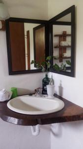 a bathroom sink with a mirror and a potted plant at Casa Morella in Monteverde Costa Rica