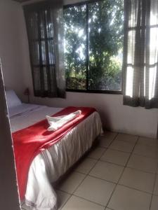 a bedroom with a bed with a red blanket and two windows at Casa Morella in Monteverde Costa Rica +26 photos