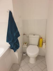 La salle de bains est pourvue de toilettes blanches et d'une serviette bleue. dans l'établissement Apartament Hoża, à Szczecin