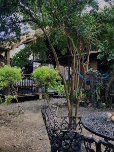 Vrt ispred objekta Hostal Zinpar
