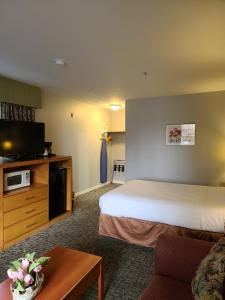 Habitación de hotel con cama y TV en Tulip Inn Mount Vernon, en Mount Vernon