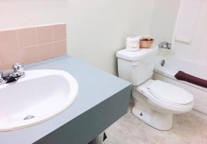 Koupelna v ubytování Hi Valley Motor Inn + 25 fotografií