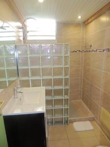 a bathroom with a sink and a shower at Maison lumineuse à Bouillante avec vue sur la mer in Bouillante