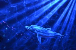 Fotografie z fotogalerie ubytování Fish House 宜蘭獨棟別墅 戲水池 生態DIY 安農溪自行車 v destinaci Dongshan