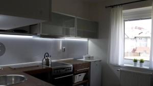 Kuchyň nebo kuchyňský kout v ubytování Apartments Centrum