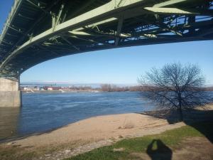 un puente sobre el agua con un árbol debajo en Esztergom Central, en Esztergom