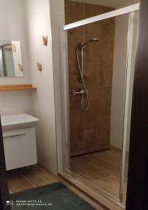 Koupelna v ubytování Apartmán Paula 2