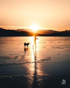 een persoon die een hond uitlaat op het strand bij zonsondergang bij Helgafell in Stykkishólmur