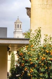 ジローナにあるBravissimo La Mora, beautiful and spaciousの塔のある建物前のオレンジの木