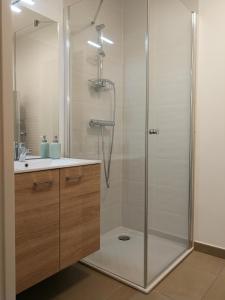 a bathroom with a shower and a sink at Le Balcon des Aravis in Saint-Gervais-les-Bains