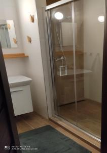 Koupelna v ubytování Apartmán Paula 2