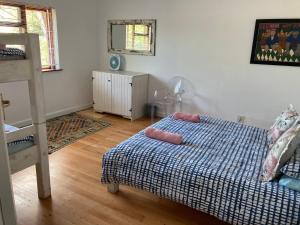 a bedroom with a bed and a desk at Hermanus Backpackers & Budget Accommodation in Hermanus