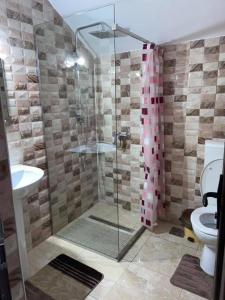 a bathroom with a shower with a toilet and a sink at Pensiunea Casa Deny in Novaci-Străini +27 photos