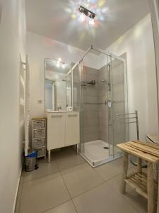 La salle de bains est pourvue d'une douche et d'une cabine de douche en verre. dans l'établissement Coté Plage pied dans l'eau vue mer, à Propriano
