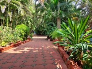 une passerelle dans un jardin planté de palmiers et de plantes dans l'établissement Palm Grove Cottages - Leisure Resort, à Benaulim