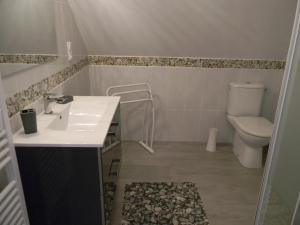 a bathroom with a sink and a toilet at Gite - Chambres d'Hôtes Faverolles in Faverolles