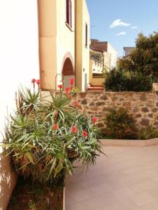 a garden with flowers and plants in front of a brick building at Casa Saba in Orosei