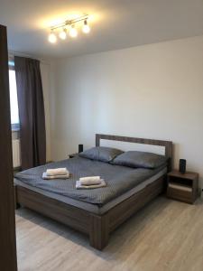 - une chambre avec un lit et 2 serviettes dans l'établissement Mountain View Apartment, à Štôla