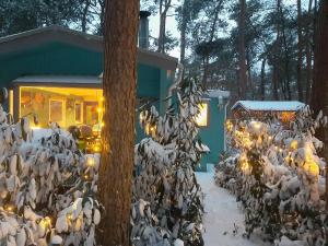 a group of birds standing around a house in the snow at Boshuis Turquoise / smaakvol genieten op de Veluwe in Hoenderloo