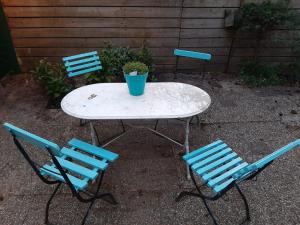 a table with three chairs and a potted plant on it at Boshuis Turquoise / smaakvol genieten op de Veluwe in Hoenderloo