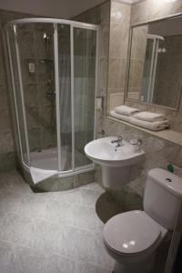 a bathroom with a shower and a toilet and a sink at Hotel Dwór Polski in Wrocław