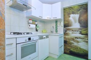 Kuchyň nebo kuchyňský kout v ubytování Apartments Tojčić